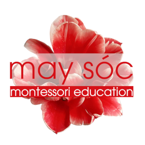 May Sóc Montessori Education - Trường Montessori tại quận Thủ Đức